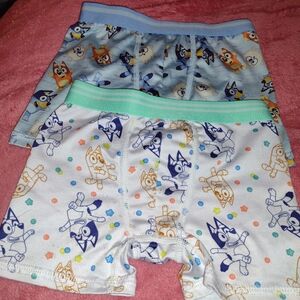 Bluey Like New Boxers- Blue and White